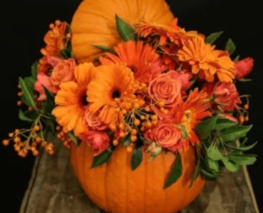 Květinové workshopy my dream